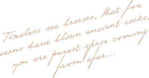 https://inspiring-antonelli.72-47-192-85.plesk.page/wp-content/uploads/2020/10/floating_image_02.png